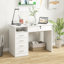 Hadewig Computer Desk