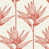 Coral selected