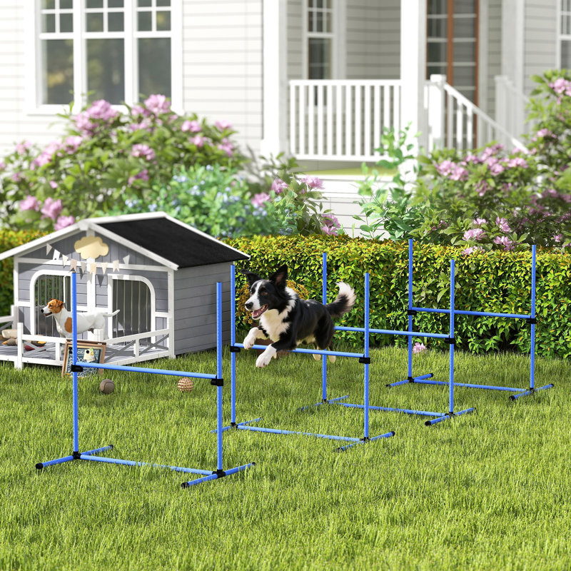 Ensemble d'exercice pour chien avec barre de saut réglable, Bleu, H 37,4 po x l 37,4 po x P 25,6 po