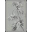 La Fleurit 1 Print by Art House Studios-1599953202
