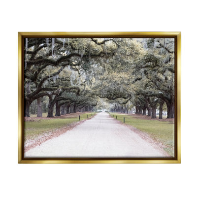 Bb-257-Floater Tree Grove Path, reproduction d'art sur toile