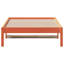 Cloninger Solid Wood-1976045461