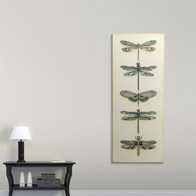 « ii » chariklia zarris, impression Dragonfly Collector