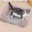 Coussin Comfort-1579415988-1579416011