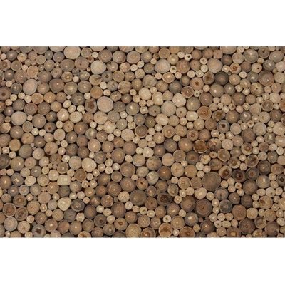 Peel & Stick Border