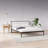 Signature Sleep Align 12'' Memory Foam Mattress-321866782
