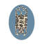 Tapis ovale tigre blanc 4 pi x 6 pi