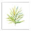 « tropical botanique i », peinture sur toile tendue-54955665