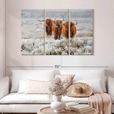 Brampt trio de vaches Highland