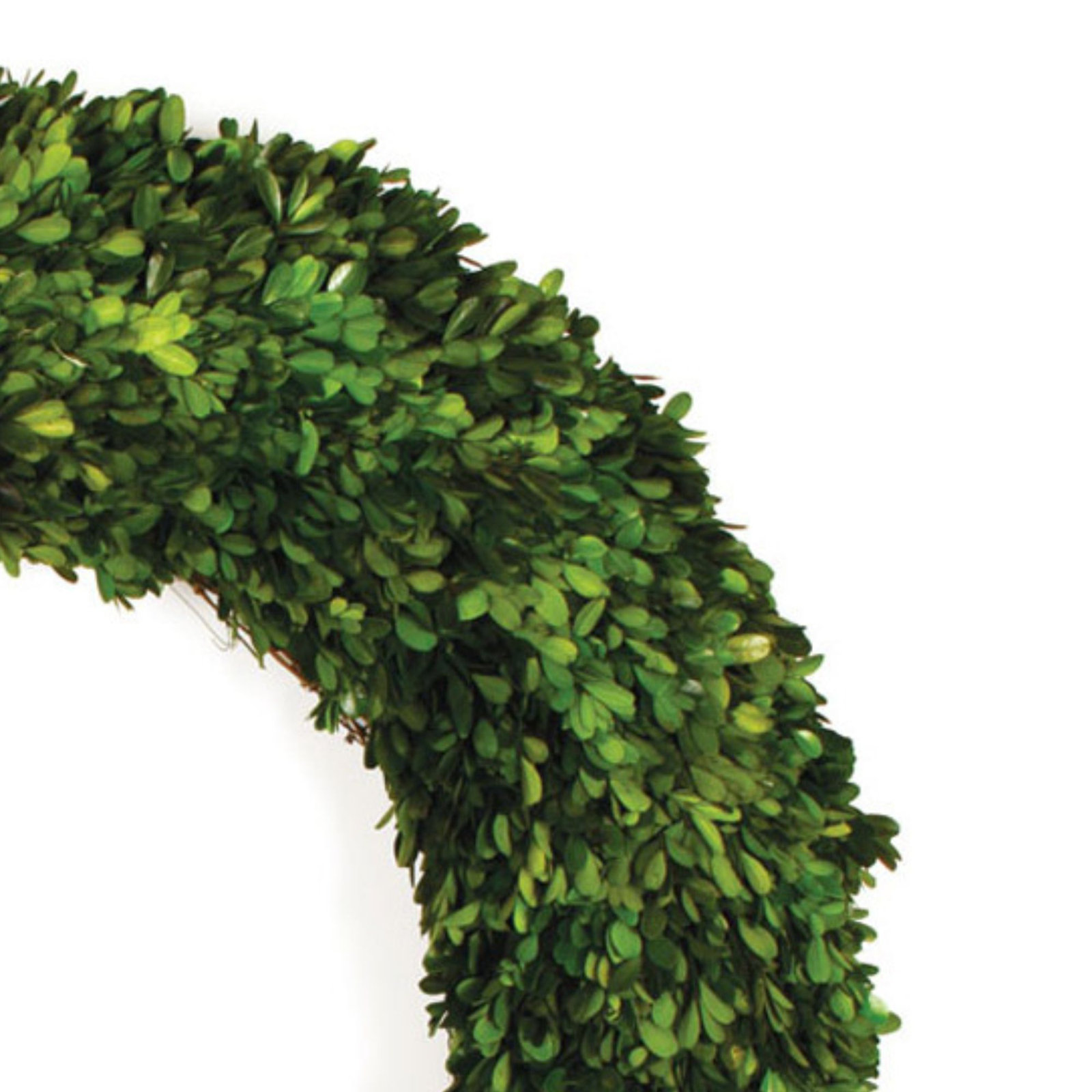 Birch Lane™ Alby 31" Boxwood Wreath, 16" H x 16" W x 2.75" D