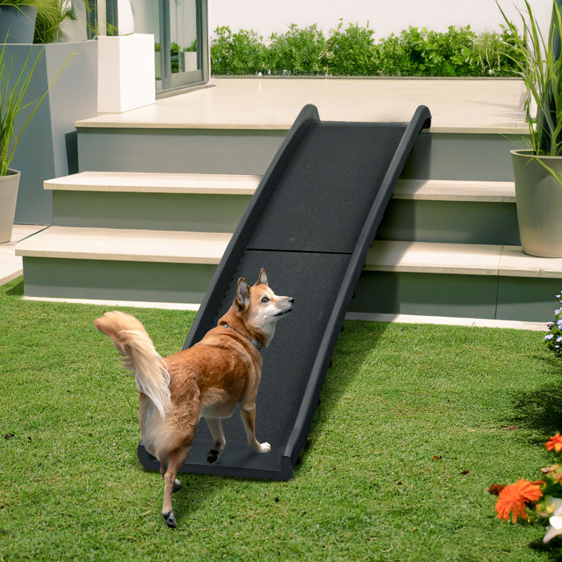 Rampe pliante pour animaux avec tapis antidérapant