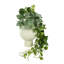 Ringold Faux Ivy Plant in Ceramic Vase