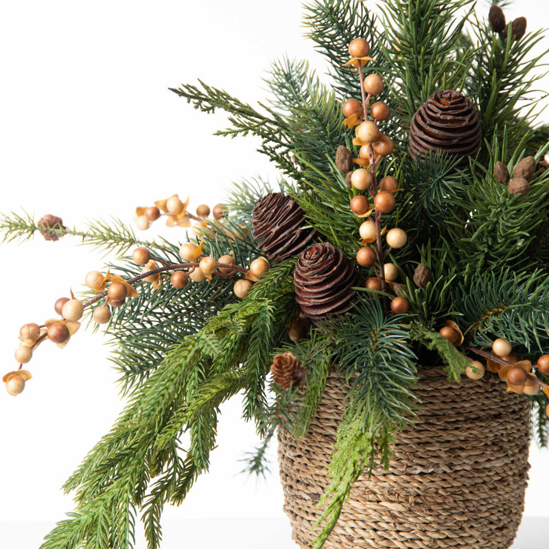 Arrangements floraux en pot