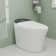 Smart Toilet Bidet with Tank, Heated Seat, Warm Wash, Auto Flush, Filtering TECH, Modern Elongated One Piece Bidet Toilets for Bathrooms, Standard