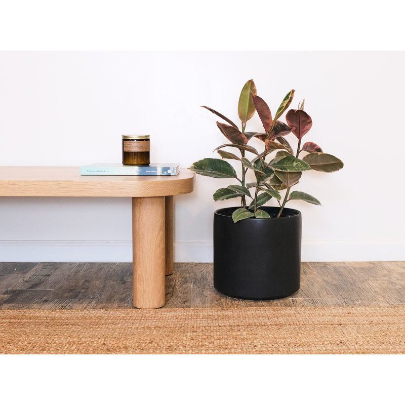 Pot à fleurs en céramique Keyes, Noir, H 10,25 po x l 11,25 po x P 11,25 po