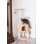 48 " H Cat Scratching Post and Cat Toys
