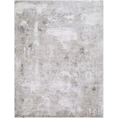 Tatianya Machine Woven Rug