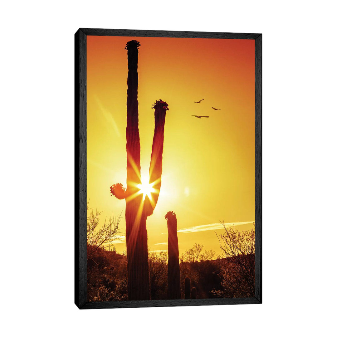 Saguaro Cactus Silhouette At Sunrise by Susan Schmitz - Print on Canvas