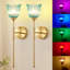 Applique murale à piles avec télécommande, appliques murales rechargeables sans fil dorées, lumière à intensité variable RVB (ensemble de 2)-893225534