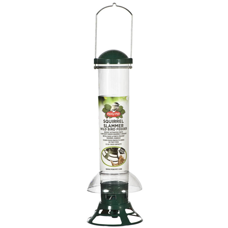 Green and Clear Squirrel Resistant Hanging Tube Bird Feeder