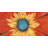 Flower Middle Print On Canvas-98694320