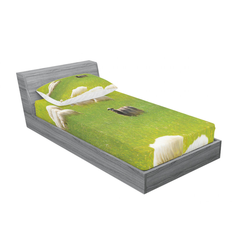 Ensemble de draps Sheep Entre Goatson, Ensemble de draps pour lit simple TG avec drap-hou