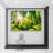 Nature Landscape " Sunshine Through The Forest "-99543715