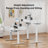 Jeneffer Computer Standing Desk with 4 Drawers for Home Office，Electric Height Adjustable Gaming Desk with Storage Shelf-1990801292-2007326864