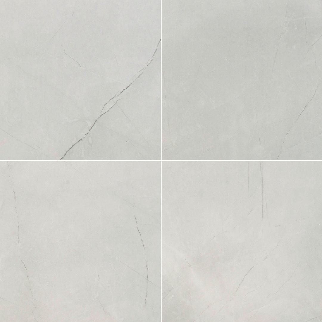 Sonoma 24 in. x 24 in. Matte Porcelain Stone Look Floor and Wall Tile Ackland 