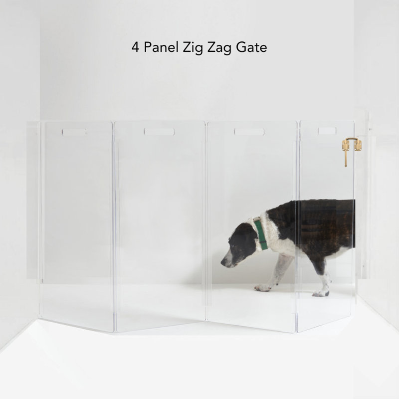 Hiddin Clear Tall Zig Zag Wall Mounted Pet Gate, 4 Panel, Gold