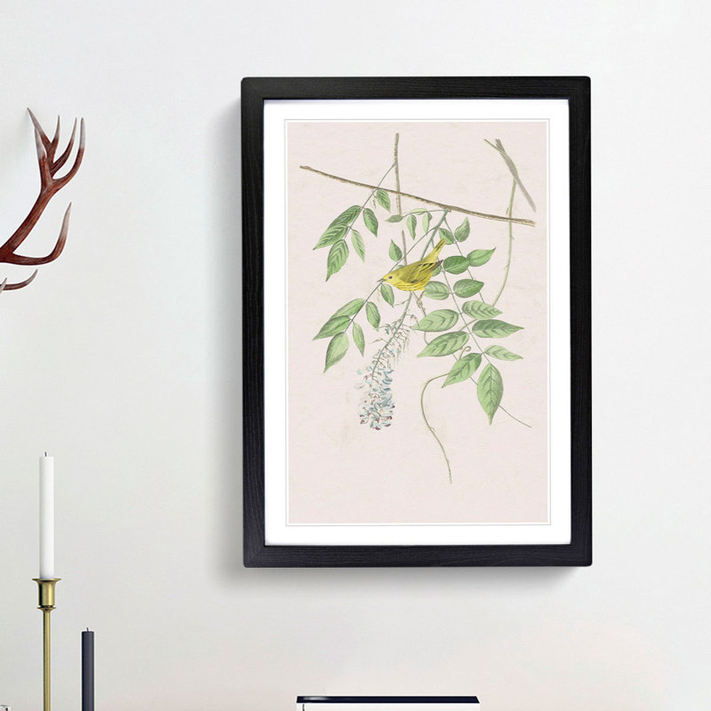 Blue Eyed Yellow Warbler by John Audubon - Picture Frame Painting Print, 65cm H x 48cm W x 2cm D, Black Framed