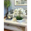 Orchid Arrangement in Ceramic Planter