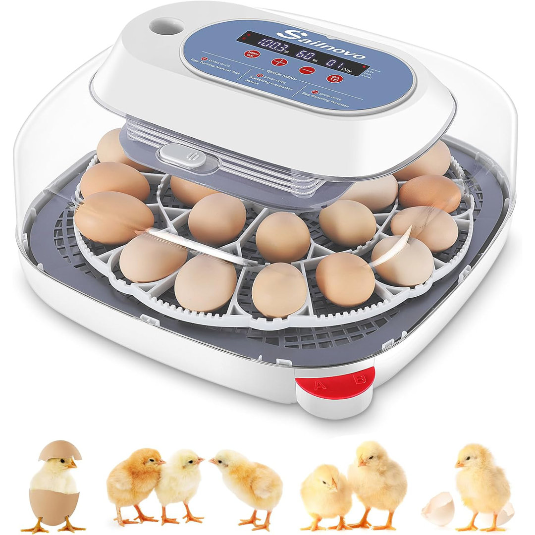 24 Chicken Egg Incubators with 4 Modes, 360° View Incubator with Automatic Egg Turning and Temperature Control Humidity Display, Digital Incubator for Chicken Quail Duck Ancheer 