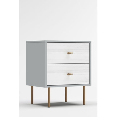 Jailene 2 - Drawer Nightstand in Gray/White by Mercer41