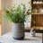 Pattersen Handmade Ceramic Pot Planter