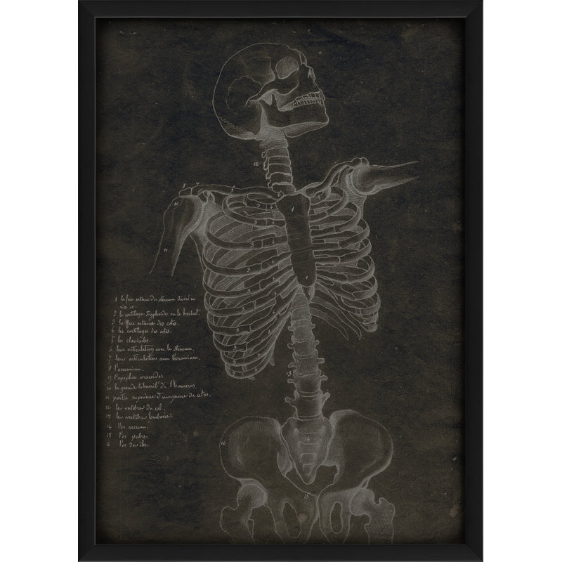 « skeleton front », impression encadrée