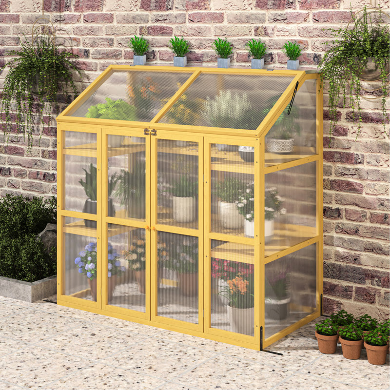 Serre en polycarbonate transparent - Laissez entrer la lumière du soleil. Structure en bois résistante aux conditions difficiles.