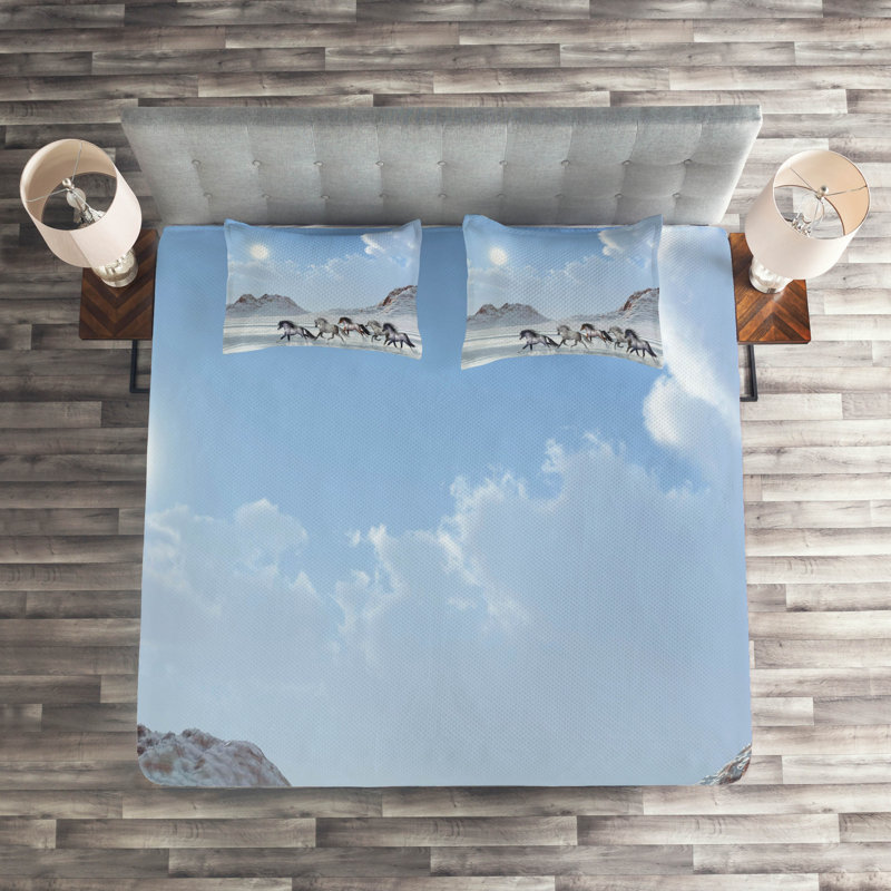 Hypnotic Farmhouse / Country Polyester Coverlet, King Bedspread + 2 Shams