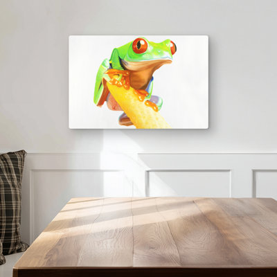 Curious Frog - Exotic Bathroom Metal Print Decor