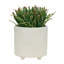 Jardinières texturées S / 2 6/8 po-1755110311