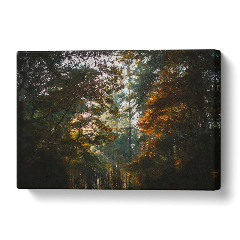 A Magical Forest - Wrapped Canvas, 40 cm H x 60 cm W