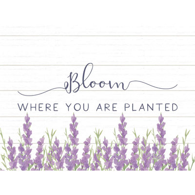 " Bloom Where Planted Lavender "