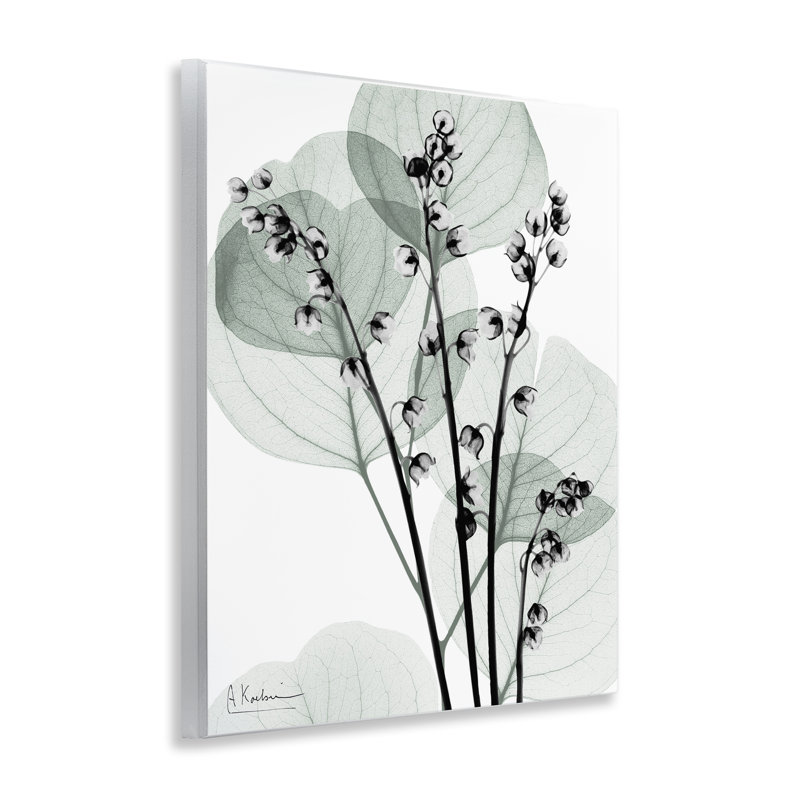 Plaque murale «Fresh Minimalist Herbs» par Albert Koetsier