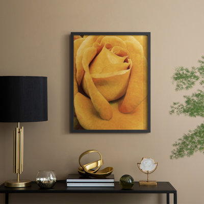 Soft Flower Petals IV Framed Print - Solid Wood