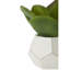 24cm Faux Succulent Plant in Concrete Pot