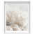 White Shadowbox