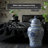 Timeless Chinese Temple Jar-311723259-311723258