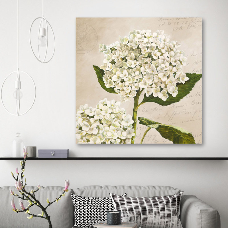 Hydrangeas II (Neutre) by Remy Dellal - Wrapped Canvas Print, 70cm H x 70cm W x 4cm D