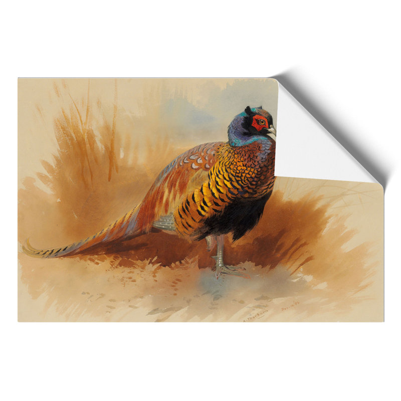 Study of a Cock by Archibald Thorburn - Frameless Print, 21cm H x 30cm W x 0.1cm D