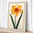 Cream Border